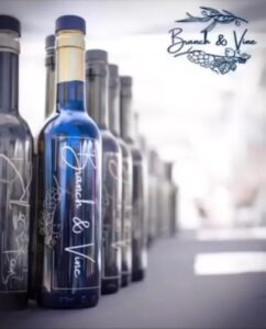 Branch and Vine